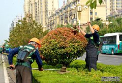 青州市：黨建紅+園林綠+環衛橙，合力打造全域花園城市